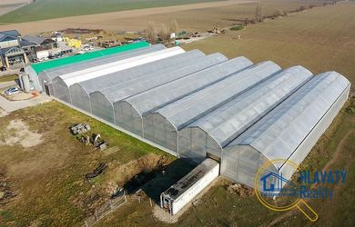 PRENÁJOM SKLENÍKA, Dlhá nad Váhom, okres Šaľa - Ideálne pre profesionálnych pestovateľov!