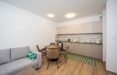 NA PRENÁJOM 1 IZBOVÝ BYT S VEĽKÝM BALKÓNOM V PROJEKTE RÍNOK RAČA, ULICA FRANTIŠKA KUBU, BRATISLAVA - M.Č. RAČA