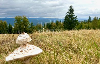 Na predaj slnečná lúka s výhľadmi, nad Turzovkou okr. Čadca