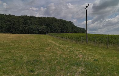 Na predaj budúci stavebný pozemok, pri Trnave, Lošonec.
