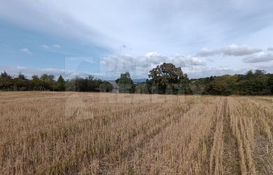 Predaj pozemku , časť Staré Levice , 4519 m² , Levice