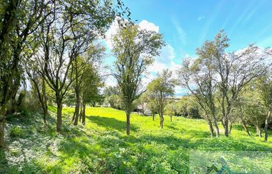 PREDAJ DOM so záhradou a lesom 7 714 m² Bánovce nad Bebravou