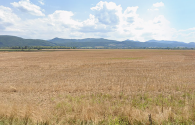 Predaj orné pôdy a trvalého trávneho porastu Lovča 2