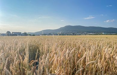 Mucha Estate | Nová Chrenová | Pozemok pre rodinný dom s výhľadom na Zobor | 750 m² (24 x 31 m)