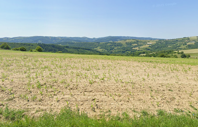 Predaj orné pôdy Horná Súča  2