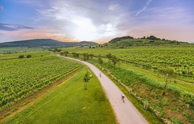 OCCAM I Dopyt: Pozemok s „dušou" v Pezinku alebo Modre