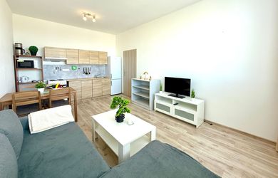 CENTRUM  - KOMPLET ZARIADENÝ 1,5 izbový byt s INVESTYČNÝM potenciálom - Výťah