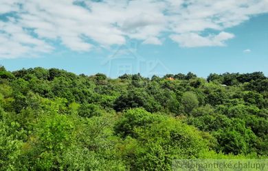 Pozemok 1 776 m² vo viničnej oblasti obce Hronský Beňadik