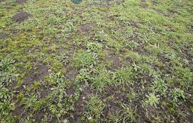 NA PREDAJ - STAVEBNÝ POZEMOK 600M2 V NOVEJ DEDINKE