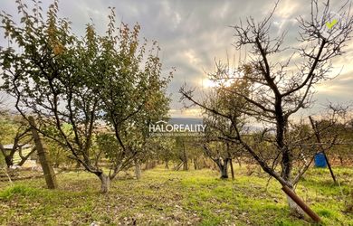 HALO reality - Predaj, rekreačný pozemok Šahy, vinica s chatkou, 437 m2 - EXKLUZÍVNE HALO REALITY